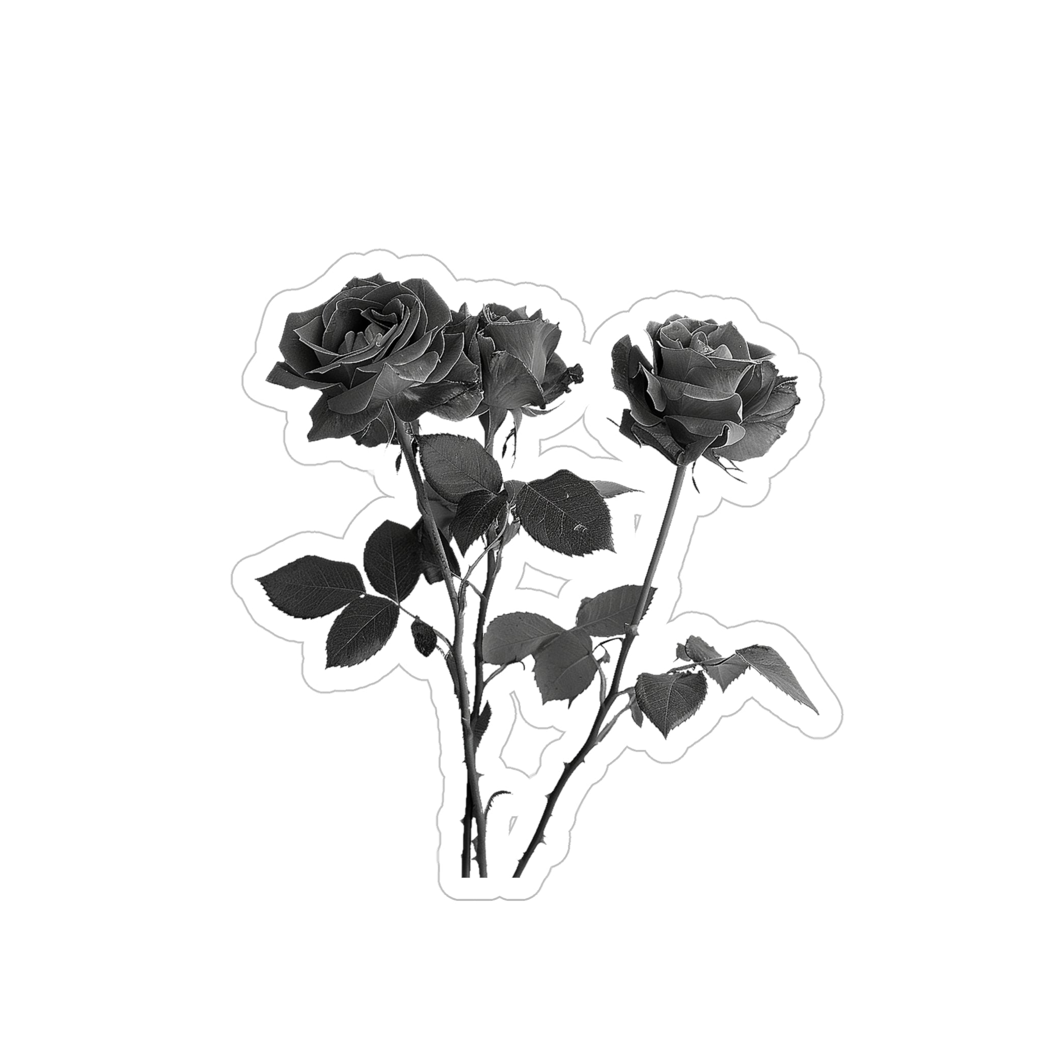 Black and white three roses die-cut transparent sticker, crafted from water-resistant vinyl. Available in 4 sizes for indoor and outdoor use. Personalize laptops, journals, cars, and more. Please note: Design may be difficult to see on dark surfaces, and small details may be cut as one shape. Assembled in the USA from globally sourced parts. Infuse your belongings with classic elegance and the captivating beauty of nature.